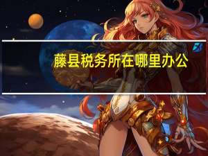 藤县税务所在哪里办公