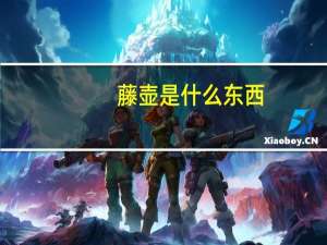 藤壶是什么东西（关于藤壶是什么东西的介绍）