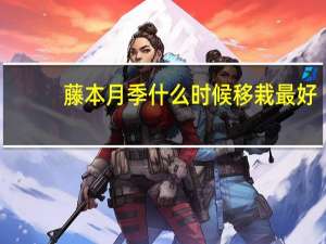 藤本月季什么时候移栽最好