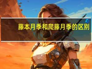 藤本月季和爬藤月季的区别