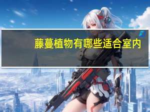 藤蔓植物有哪些适合室内（藤蔓植物有哪些）