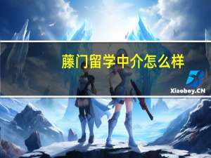 藤门留学中介怎么样