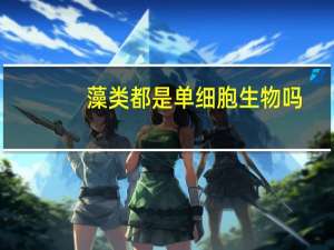 藻类都是单细胞生物吗