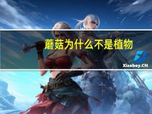 蘑菇为什么不是植物