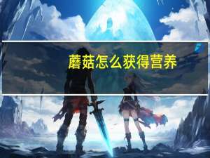 蘑菇怎么获得营养（dnf营养蘑菇怎么得到）