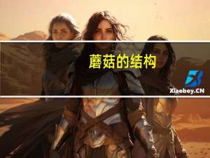 蘑菇的结构