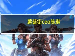 蘑菇街ceo陈琪（关于蘑菇街ceo陈琪的介绍）