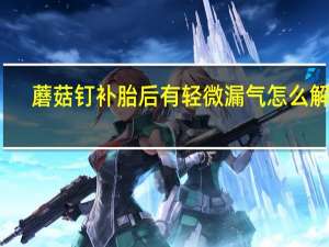 蘑菇钉补胎后有轻微漏气怎么解决
