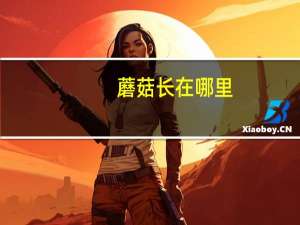 蘑菇长在哪里