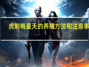 虎刺梅夏天的养殖方法和注意事项