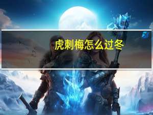虎刺梅怎么过冬