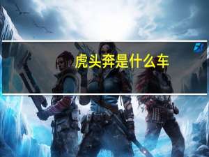 虎头奔是什么车
