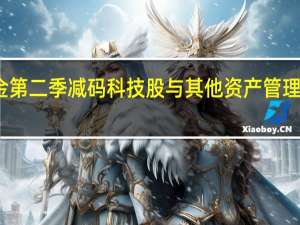 虎崽基金第二季减码科技股 与其他资产管理公司背道而驰