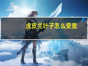 虎皮兰叶子怎么变宽