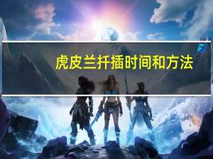 虎皮兰扦插时间和方法