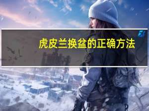 虎皮兰换盆的正确方法