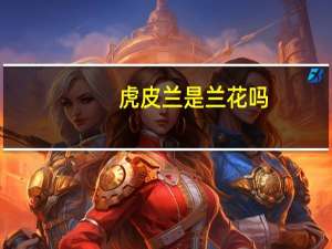 虎皮兰是兰花吗