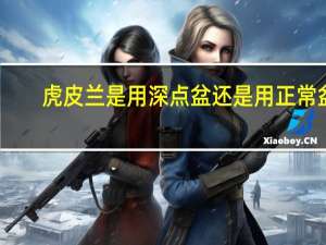 虎皮兰是用深点盆还是用正常盆