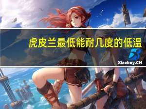 虎皮兰最低能耐几度的低温