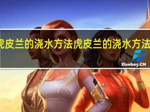 虎皮兰的浇水方法 虎皮兰的浇水方法是什么