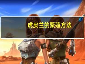 虎皮兰的繁殖方法