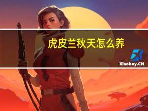 虎皮兰秋天怎么养