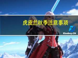 虎皮兰秋季注意事项