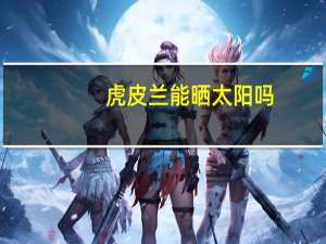 虎皮兰能晒太阳吗