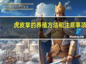 虎皮掌的养殖方法和注意事项