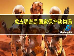 虎皮鹦鹉是国家保护动物吗