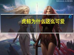 虎鲸为什么这么可爱（虎鲸为什么被称为流氓）