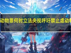 虐待动物罪何时立法 央视呼吁禁止虐动物尽快立法
