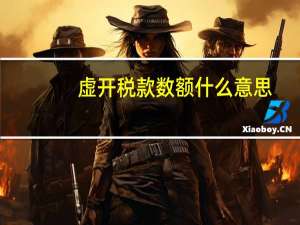虚开税款数额什么意思