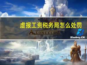 虚报工资税务局怎么处罚