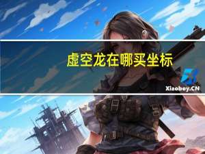 虚空龙在哪买坐标（虚空龙在哪买）