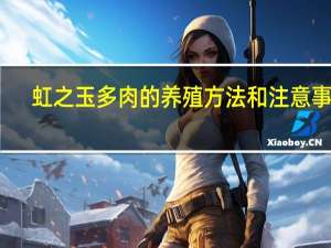 虹之玉多肉的养殖方法和注意事项