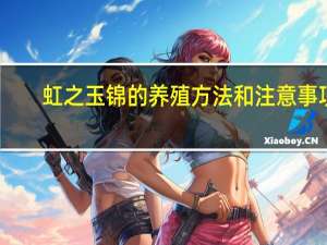 虹之玉锦的养殖方法和注意事项