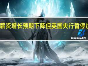 虽通胀与薪资增长预期下降但英国央行暂停加息的可能不大