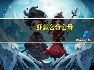 虾怎么分公母
