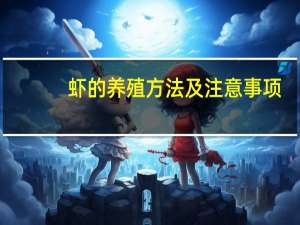 虾的养殖方法及注意事项