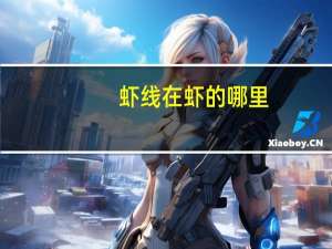 虾线在虾的哪里
