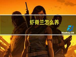 虾脊兰怎么养