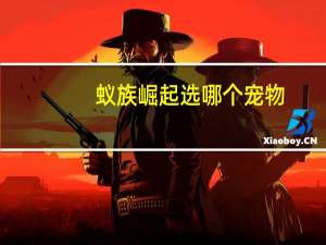 蚁族崛起选哪个宠物