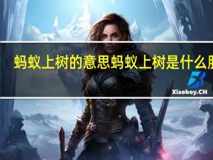 蚂蚁上树的意思 蚂蚁上树是什么服务