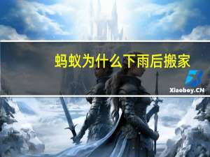 蚂蚁为什么下雨后搬家