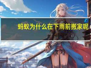 蚂蚁为什么在下雨前搬家呢