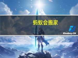 蚂蚁会搬家