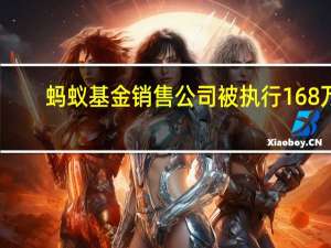 蚂蚁基金销售公司被执行168万