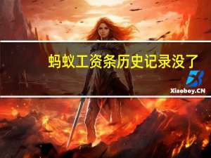 蚂蚁工资条历史记录没了（蚂蚁工资条）