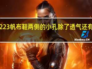 蚂蚁庄园1223帆布鞋两侧的小孔除了透气还有什么用答案分享